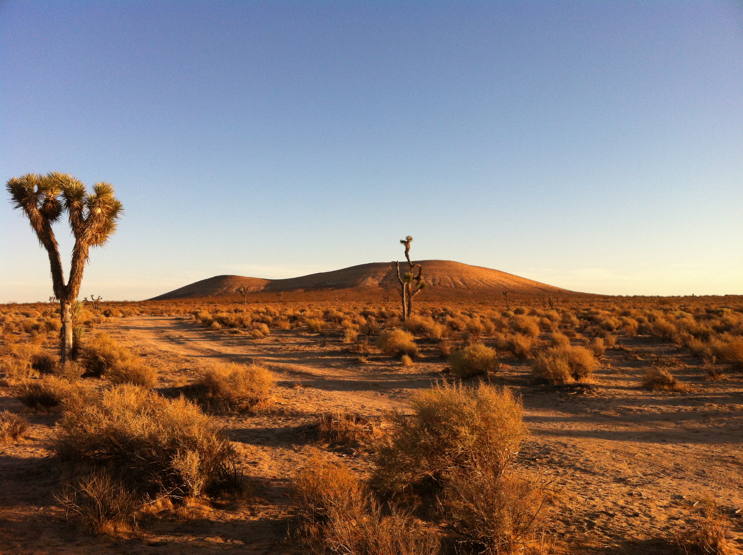 UltimateGraveyard Mountain View Dusk Mojave Desert Filming Photography Location