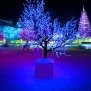 harbin-ice-city-china-tree-glow-by-nick-saglimbeni