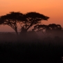 Slickforce-Kenya-amboseli-dusk-sunset-dawn-sky-colors-acacia-trees-nick-saglimbeni-7632