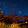 Slickforce-Kenya-amboseli-night-stars-sky-galaxy-africa-milky-way-nick-saglimbeni-1803