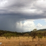 safari-kenya-storms-in-africa-nick-saglimbeni-masai-mara