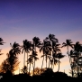 diani-palm-trees-sunset