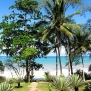 kenya-diani-beach-palm-trees-ocean-2