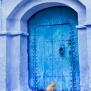 morocco-chefchaouen-blue-city-nick-saglimbeni-cat-in-doorway