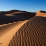 morocco-sahara-desert-sand-nick-saglimbeni-photography-7