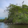 venezuela-bird-sanctuary